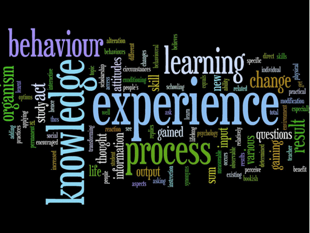 learning_wordle-716728